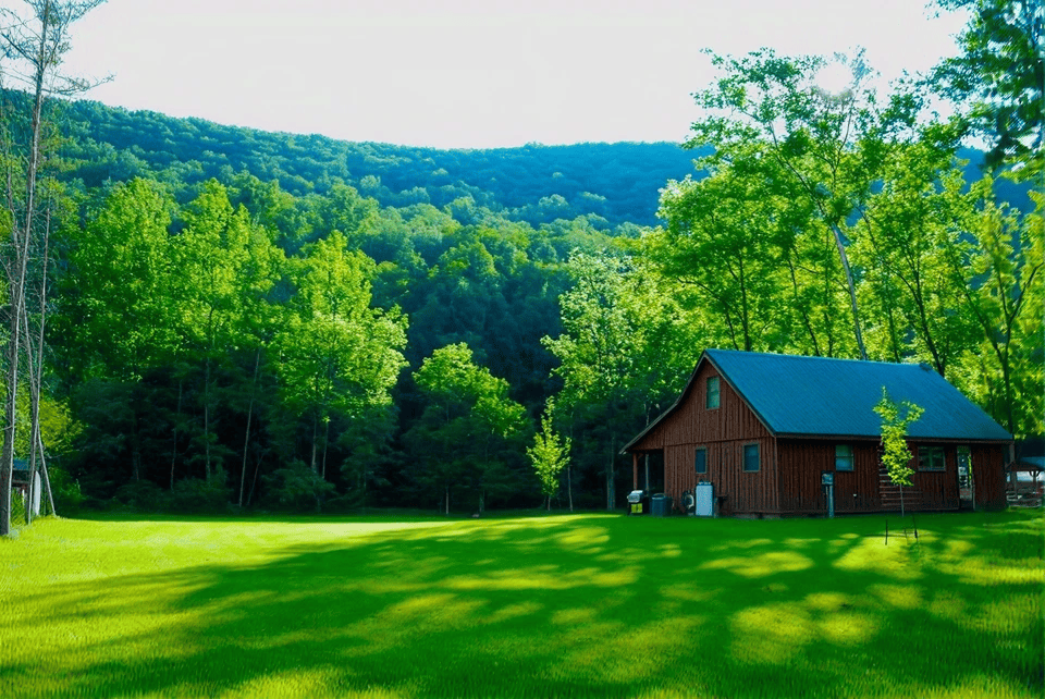 Cozy cabin in lush green forest