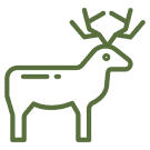 Deer icon with antlers outline