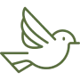 Line drawing of a bird