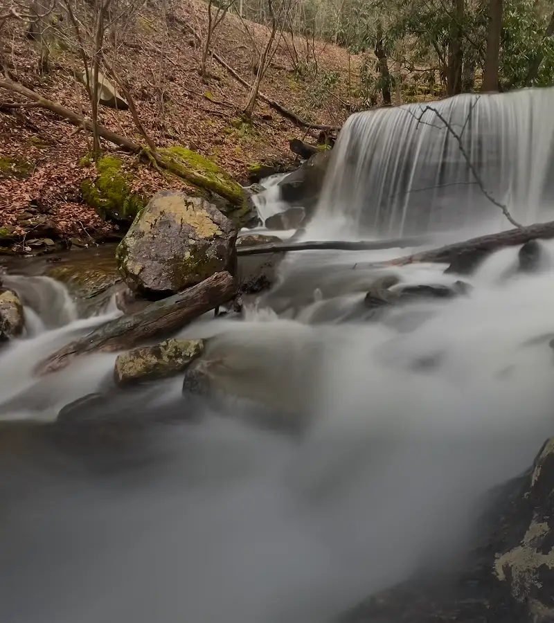 Small waterfall cascading down a rocky cliff in the woods, surrounded by trees and dry leaves on the ground